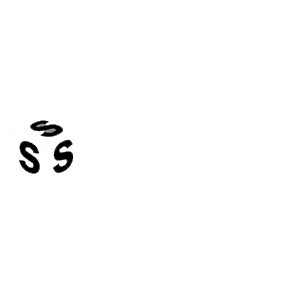 suzuki stones